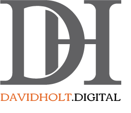 David Holt flag logo